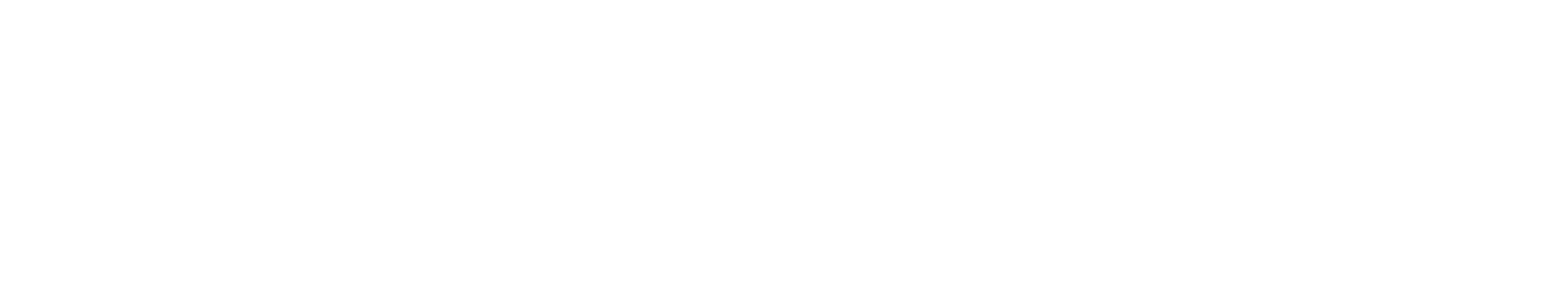 Fujiex Tech Horizontal